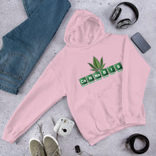 CaNNaBIS Hooded Sweatshirt - TeeHop