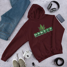 CaNNaBIS Hooded Sweatshirt - TeeHop