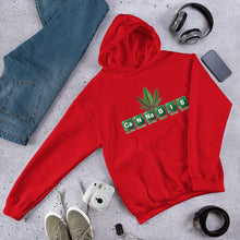 CaNNaBIS Hooded Sweatshirt - TeeHop